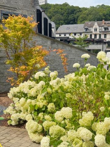 HOTEL WELLNESS DURBUY EAU De ROCHE Exterior foto